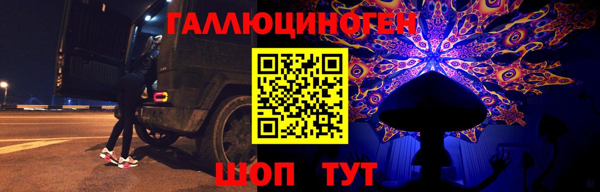 Артёмовский  Псилоцибиновые грибы Psilocybe  Вход с VPN 